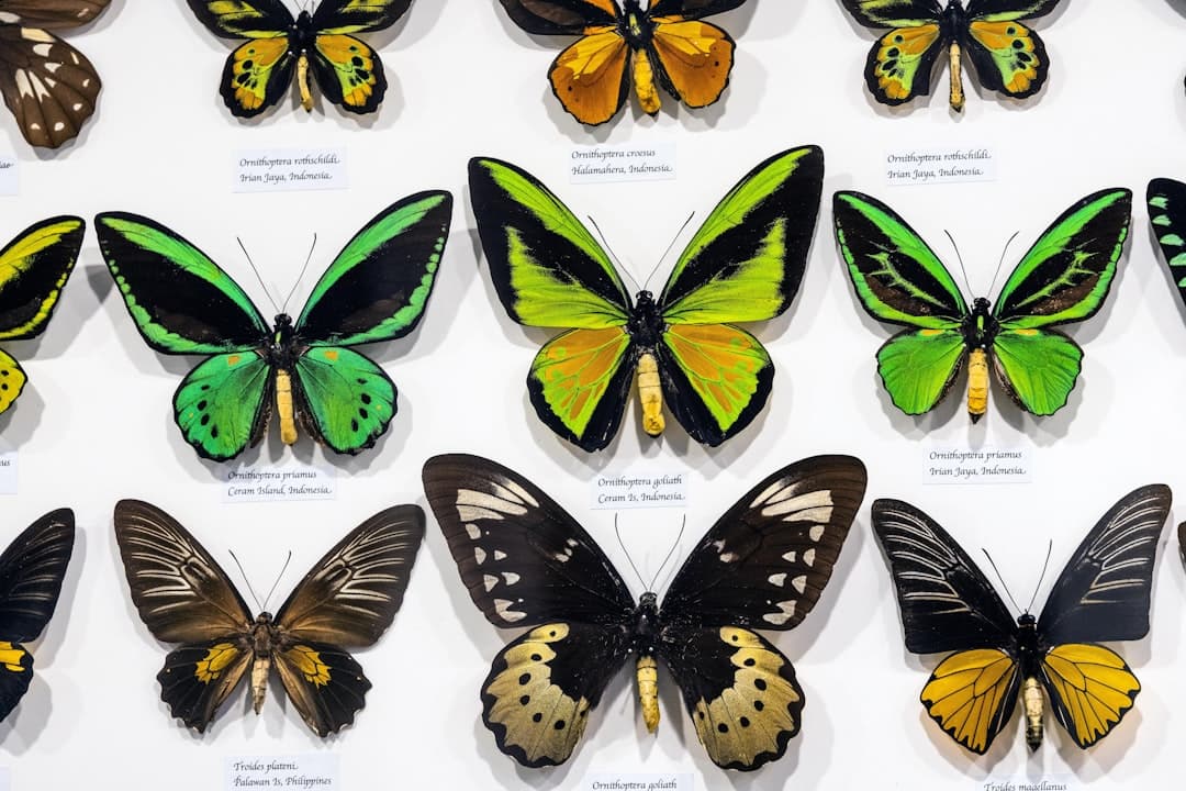 Nuevas especies descubiertas